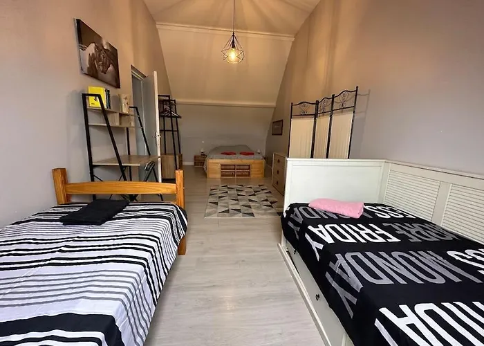 Modern Family House Near Asterix Airport Chantilly